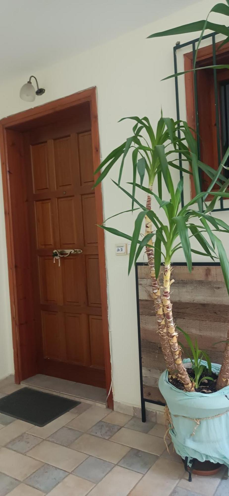 Στούντιο Κέντρου Άνω Πόλης Πάτρας Apartman Kültér fotó